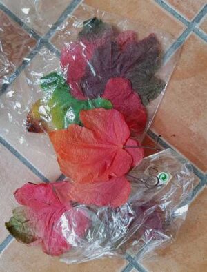 Bladeren in herfstkleuren voor decoratie