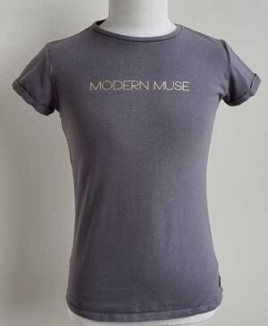 146.Lev grijs t-shirt met gouden print mt. 146/152