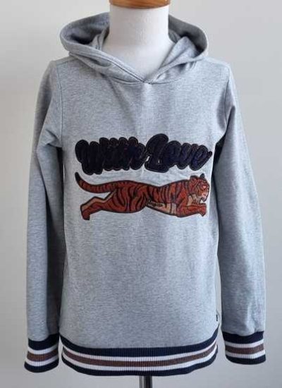 Vingino grijze capuchon sweater mt. 152 (12)