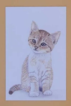 Appeloogje cadeaukaartje/Mini label katje