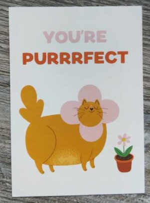 Only Happy Things Ansichtkaart you're purrrfect